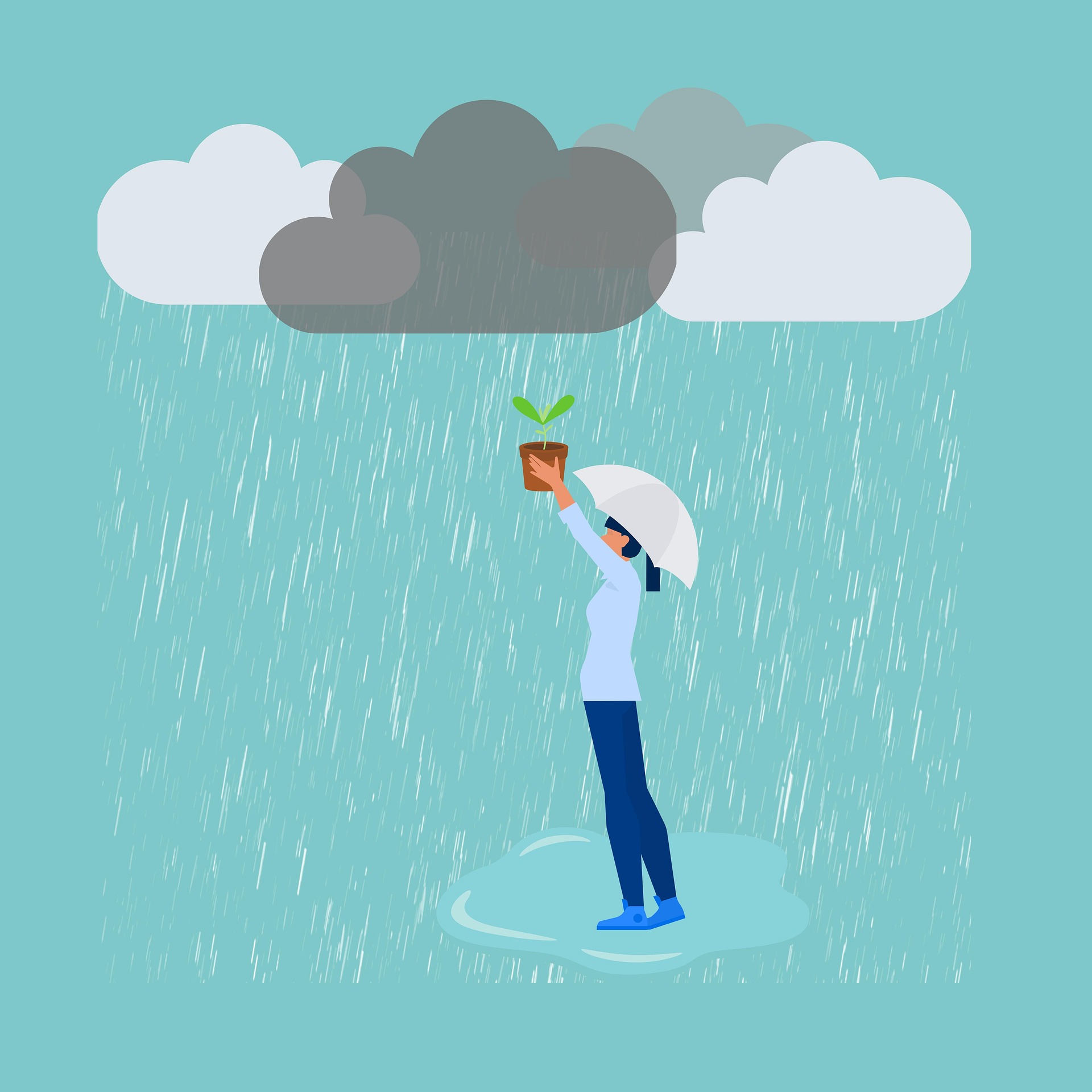 Person shielding a plant in the rain – symbol of resilience and growth.